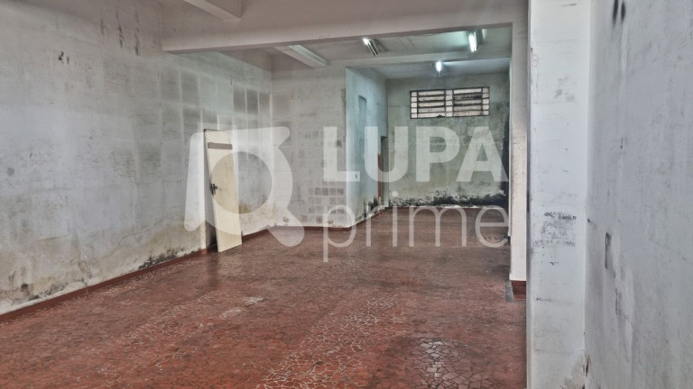 Imagem Imóvel Comercial para Alugar, 265 m² em Vila Ede - São Paulo