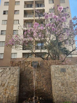 Imagem Apartamento com 3 Quartos para Alugar, 65 m² em City América - São Paulo Imagem Apartamento com 3 Quartos para Alugar, 65 m² em City América - São Paulo