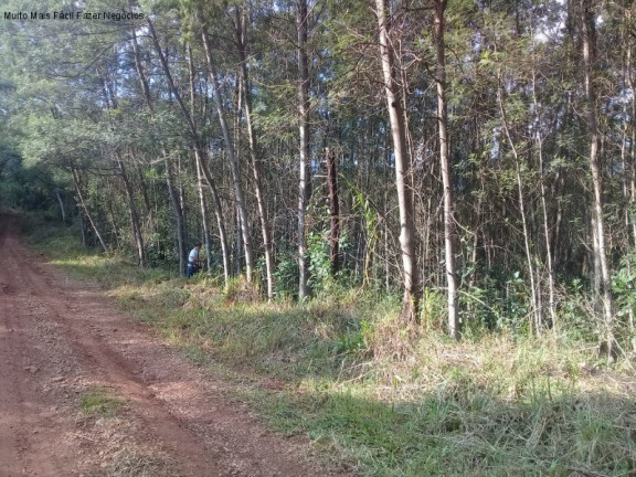 Imagem Terreno à Venda, 6 m² em Linha Temerária - Nova Petrópolis