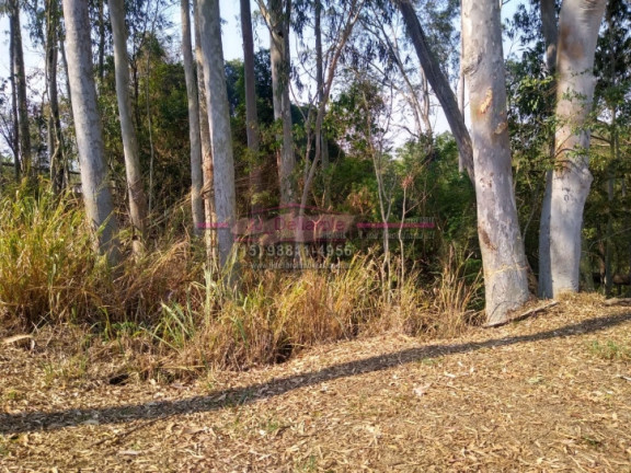 Imagem Chácara com 4 Quartos à Venda, 220 m² em Pinhais - Boituva