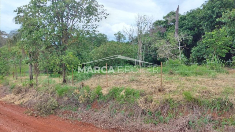 Imagem Fazenda à Venda, 35.000 m² em Floresta - Monte Santo De Minas Imagem Fazenda à Venda, 35.000 m² em Floresta - Monte Santo De Minas