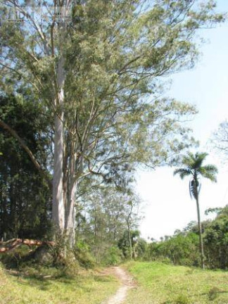 Imagem Chácara à Venda, 2.650.000 m² em Centro - São Lourenço Da Serra Imagem Chácara à Venda, 2.650.000 m² em Centro - São Lourenço Da Serra