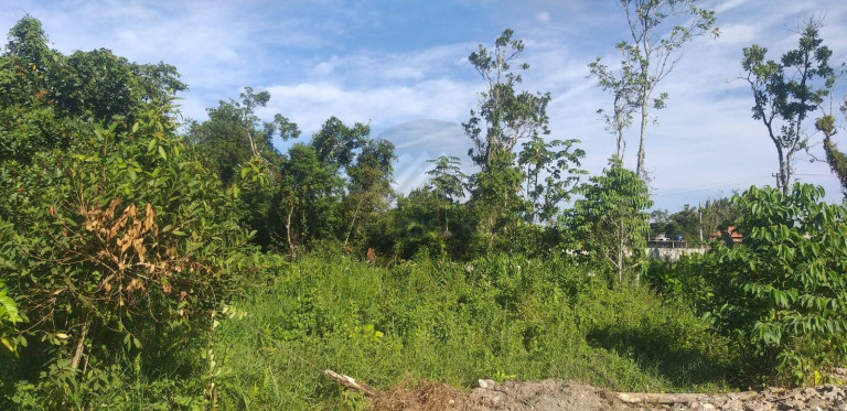 Terreno à Venda, 250 m² em Itanhaém