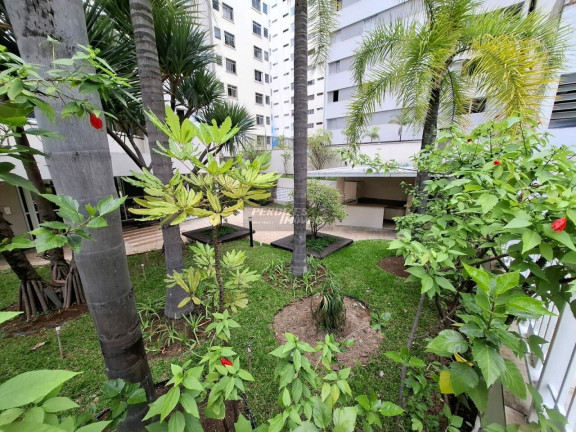Imagem Apartamento com 1 Quarto para Alugar, 28 m² em Perdizes - São Paulo Imagem Apartamento com 1 Quarto para Alugar, 28 m² em Perdizes - São Paulo