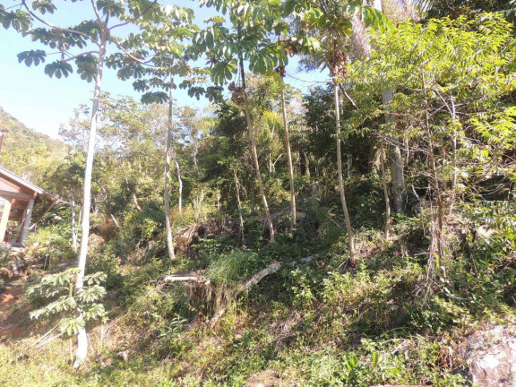 Imagem Terreno à Venda, 973 m² em Praia Da Gamboa - Garopaba Imagem Terreno à Venda, 973 m² em Praia Da Gamboa - Garopaba