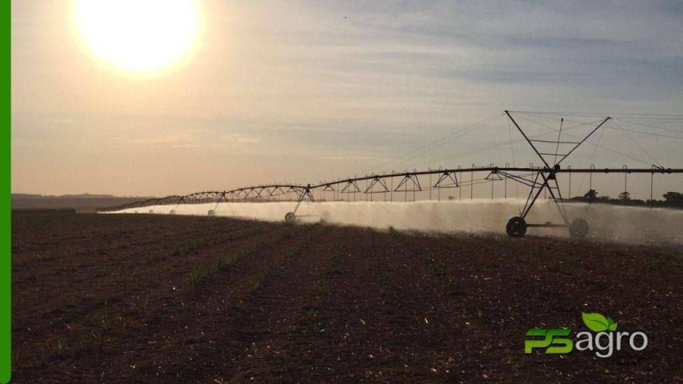Imagem Fazenda à Venda, 150.766 m² em Centro - Itapura