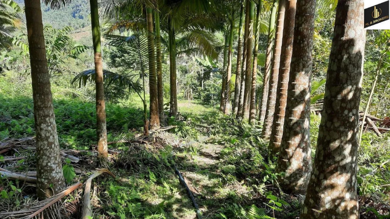 Imagem Imóvel com 4 Quartos à Venda, 30.000 m² em Zona Rural - Vidal Ramos