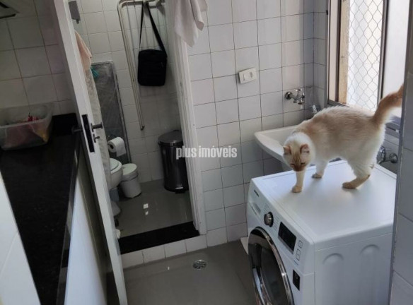 Imagem Apartamento com 2 Quartos à Venda, 68 m² em Vila Prudente - São Paulo Imagem Apartamento com 2 Quartos à Venda, 68 m² em Vila Prudente - São Paulo