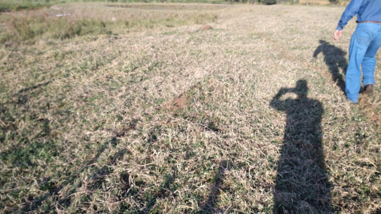 Imagem Fazenda à Venda, 54 m² em Itai - Itaí Imagem Fazenda à Venda, 54 m² em Itai - Itaí