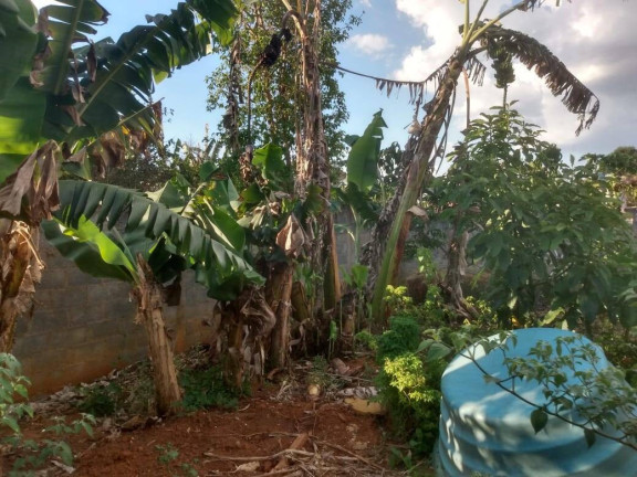 Imagem Chácara com 2 Quartos à Venda, 2.048 m² em Bairro Do Cercado - Araçoiaba Da Serra Imagem Chácara com 2 Quartos à Venda, 2.048 m² em Bairro Do Cercado - Araçoiaba Da Serra