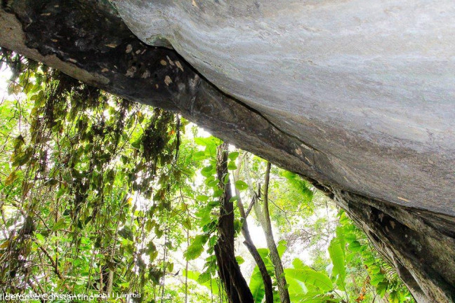 Imagem Terreno à Venda, 84.000 m² em Vargem Pequena - Rio De Janeiro Imagem Terreno à Venda, 84.000 m² em Vargem Pequena - Rio De Janeiro