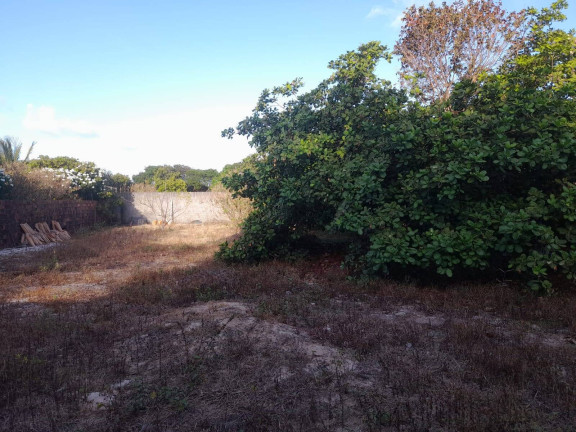 Imagem Terreno à Venda,  em Centro - Tibau Do Sul