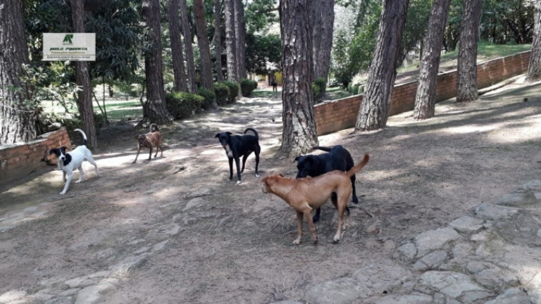 Imagem Fazenda à Venda, 38.000 m² em Sorocamirim - São Roque Imagem Fazenda à Venda, 38.000 m² em Sorocamirim - São Roque