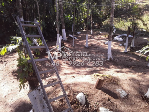 Imagem Imóvel à Venda, em Boa Esperança - Major Gercino Imagem Imóvel à Venda, em Boa Esperança - Major Gercino
