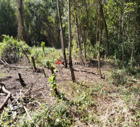Imagem Terreno à Venda, 1.900 m² em Antes Do Centro - Ibiúna Imagem Terreno à Venda, 1.900 m² em Antes Do Centro - Ibiúna