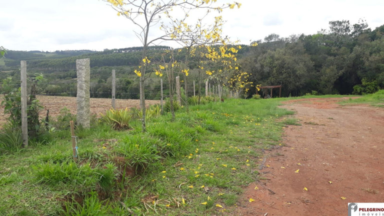 Imóvel com 2 Quartos à Venda, 95 m² em Zona Rural - Sentinela Do Sul