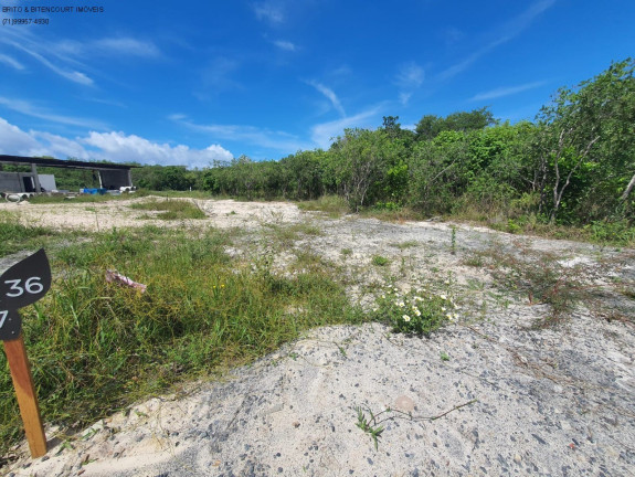 Imagem Terreno à Venda, 1.000 m² em Busca Vida - Camaçari Imagem Terreno à Venda, 1.000 m² em Busca Vida - Camaçari