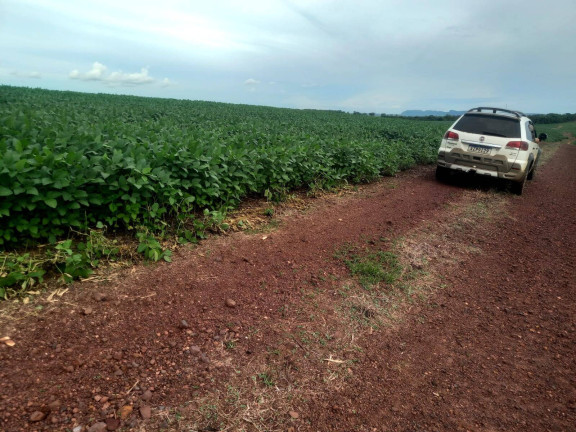 Imagem Fazenda à Venda, em Zona Rural - Caiapônia Imagem Fazenda à Venda, em Zona Rural - Caiapônia
