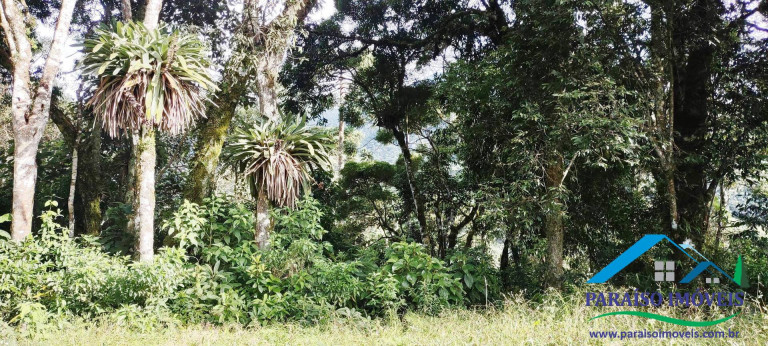 Imagem Chácara à Venda, 81 m² em Centro - Gonçalves
