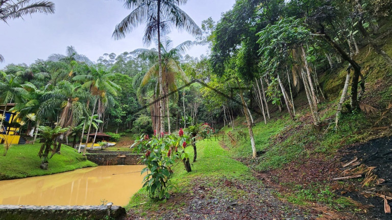 Imagem Imóvel com 7 Quartos à Venda, 54.000 m² em Itatuba - São Lourenço Da Serra