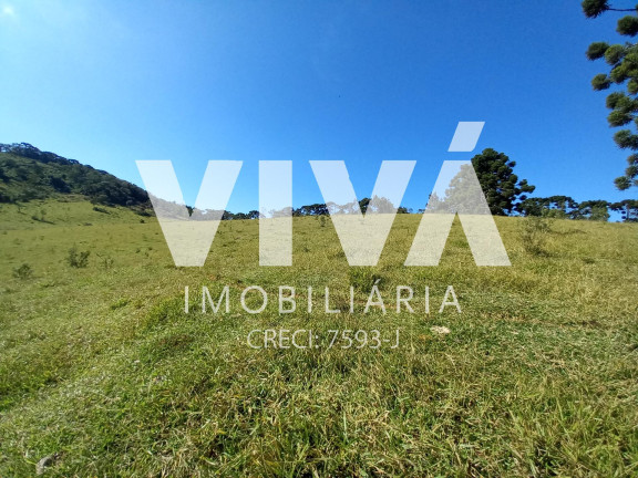 Imagem Fazenda à Venda, 338.800 m² em Rural - Pedra Bela Imagem Fazenda à Venda, 338.800 m² em Rural - Pedra Bela