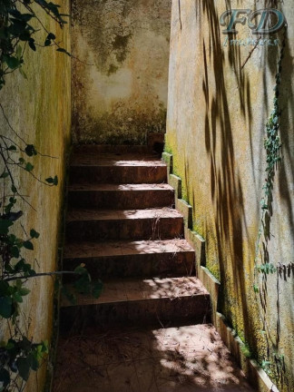 Imagem Chácara com 3 Quartos à Venda, 151.000 m² em Terra Preta - Mairiporã Imagem Chácara com 3 Quartos à Venda, 151.000 m² em Terra Preta - Mairiporã