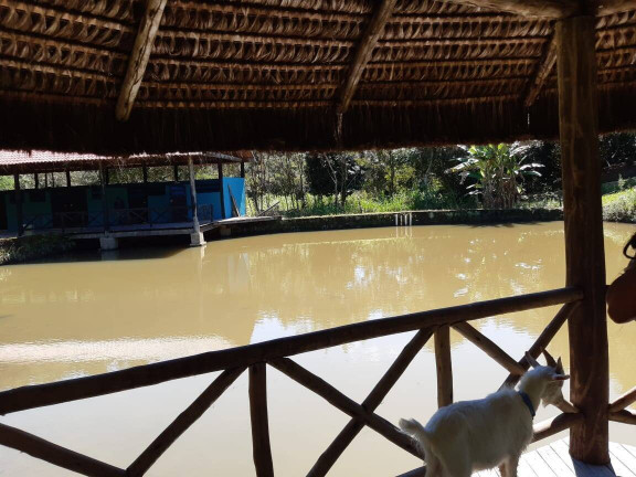 Imagem Chácara com 10 Quartos à Venda, 33.500 m² em Maraporã - Cachoeiras De Macacu
