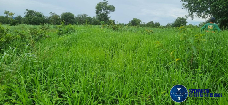 Imagem Fazenda à Venda, 30 m² em Setor Central - Crixás Imagem Fazenda à Venda, 30 m² em Setor Central - Crixás