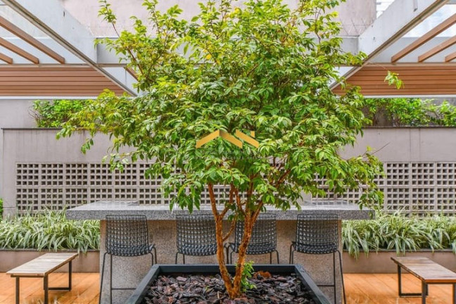 Imagem Apartamento com 3 Quartos à Venda, 186 m² em Campo Belo - São Paulo Imagem Apartamento com 3 Quartos à Venda, 186 m² em Campo Belo - São Paulo