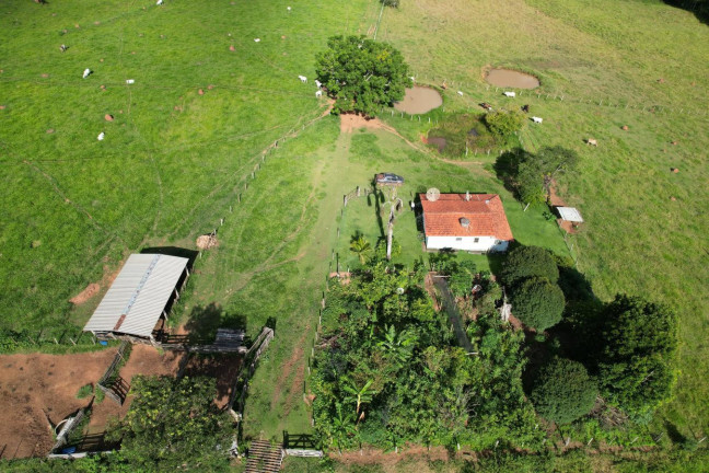 Imagem Chácara à Venda, 9 m² em Zona Rural - São Sebastião Do Paraíso Imagem Chácara à Venda, 9 m² em Zona Rural - São Sebastião Do Paraíso