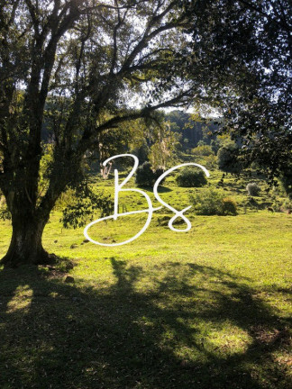 Imagem Imóvel com 2 Quartos à Venda, 240.000 m² em Padilha - São Francisco De Paula