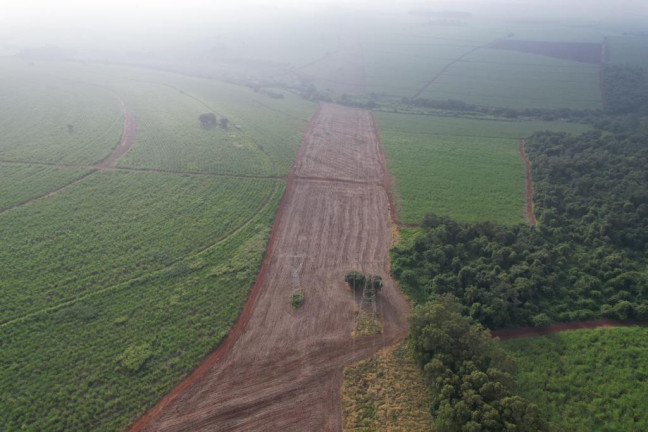 Imagem Fazenda à Venda, 53 m² em Zona Rural - Ipauçu Imagem Fazenda à Venda, 53 m² em Zona Rural - Ipauçu