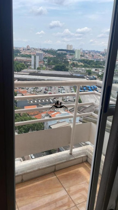 Imagem Apartamento com 2 Quartos à Venda, 63 m² em Casa Branca - Santo André Imagem Apartamento com 2 Quartos à Venda, 63 m² em Casa Branca - Santo André