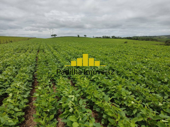 Imagem Chácara à Venda, 20 m² em Pilar Do Sul