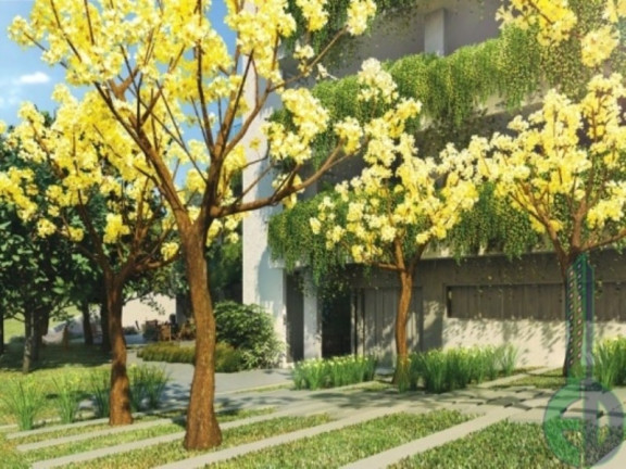 Imagem Apartamento com 3 Quartos à Venda, 59 m² em Vila Eldízia - Santo André Imagem Apartamento com 3 Quartos à Venda, 59 m² em Vila Eldízia - Santo André