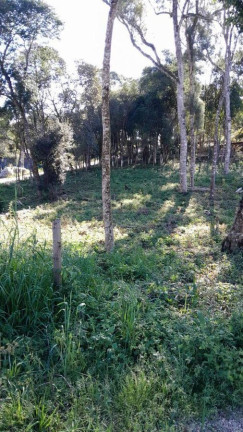 Terreno à Venda,  em Planta Laranjeiras - Piraquara