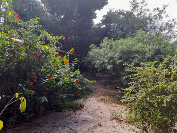 Imagem Terreno à Venda, 1.301 m² em Praia Da Pipa - Tibau Do Sul Imagem Terreno à Venda, 1.301 m² em Praia Da Pipa - Tibau Do Sul