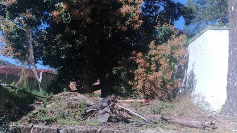 Imagem Chácara com 4 Quartos à Venda, 570 m² em Nova Gardênia - Atibaia