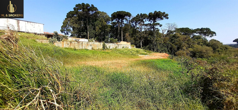 Imagem Terreno à Venda, 1.440 m² em Jardim São João - Contenda Imagem Terreno à Venda, 1.440 m² em Jardim São João - Contenda