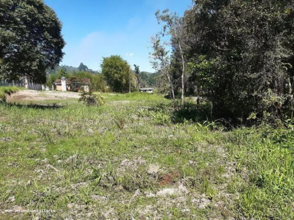Imagem Chácara à Venda, em Consultar - Ibiúna Imagem Chácara à Venda, em Consultar - Ibiúna