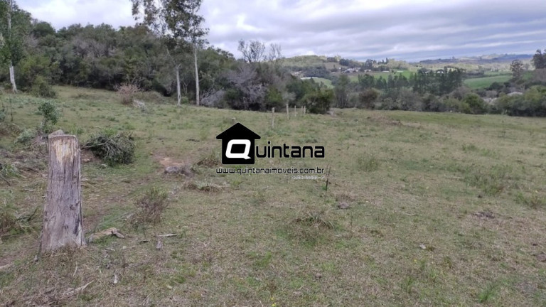 Imagem Imóvel com 4 Quartos à Venda, 80.000 m² em Colônia Santa Maria - Pelotas