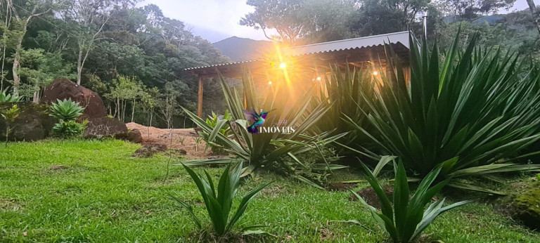 Imovel
