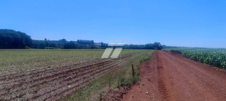 Galpão à Venda,  em Cascavel