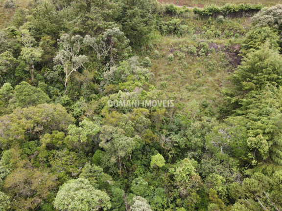 Imagem Imóvel à Venda, 1.500 m² em Região De Descansópolis - Campos Do Jordão Imagem Imóvel à Venda, 1.500 m² em Região De Descansópolis - Campos Do Jordão