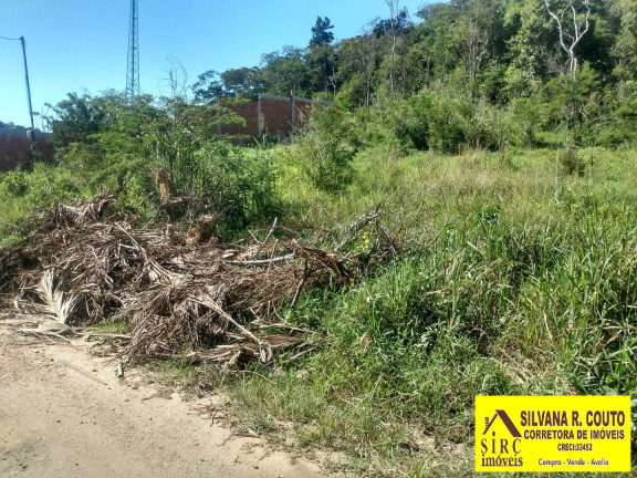Imagem Terreno à Venda, 3.071 m² em Itaocaia Valley (itaipuaçu) - Maricá Imagem Terreno à Venda, 3.071 m² em Itaocaia Valley (itaipuaçu) - Maricá