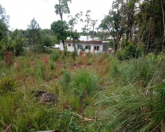 Imagem Imóvel à Venda, 384 m² em Vila Germania - Nova Petrópolis Imagem Imóvel à Venda, 384 m² em Vila Germania - Nova Petrópolis