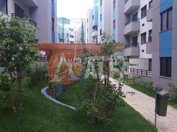 Imagem Apartamento com 2 Quartos para Alugar, 54 m² em Jardim ísis - Cotia Imagem Apartamento com 2 Quartos para Alugar, 54 m² em Jardim ísis - Cotia