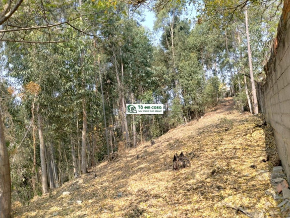 Imagem Terreno à Venda, 2.000 m² em Altos Do Caetê I - São José Dos Campos Imagem Terreno à Venda, 2.000 m² em Altos Do Caetê I - São José Dos Campos