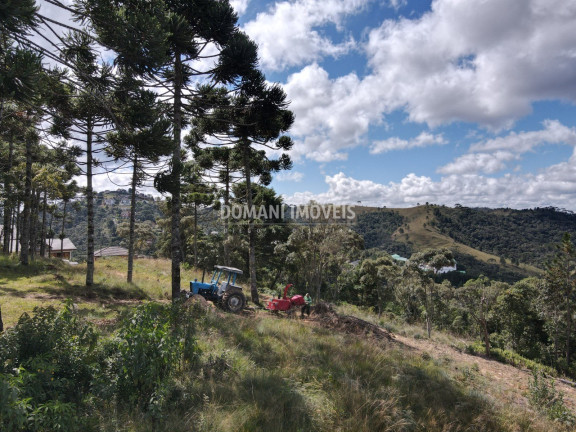 Imagem Terreno à Venda, 2.420 m² em Região De Descansópolis - Campos Do Jordão Imagem Terreno à Venda, 2.420 m² em Região De Descansópolis - Campos Do Jordão