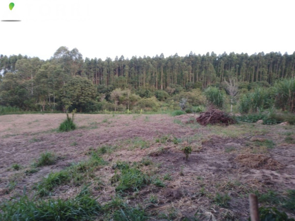 Imagem Imóvel com 5 Quartos à Venda, 400 m² em Aparecida - Araçoiaba Da Serra Imagem Imóvel com 5 Quartos à Venda, 400 m² em Aparecida - Araçoiaba Da Serra